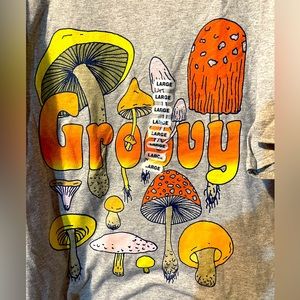 Fruit of the loom, gray t-shirt, size large.  NWT 0022